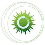 專業(yè)制作各種證件